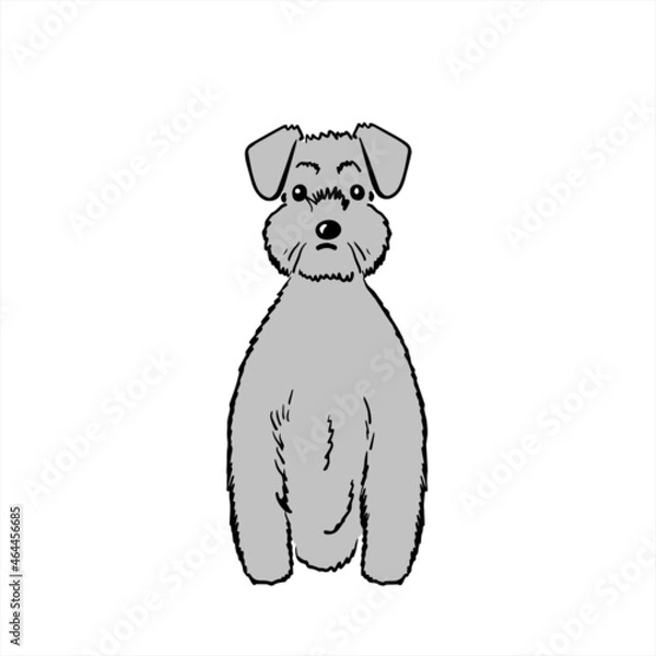 Obraz Schnauzer シュナウザー