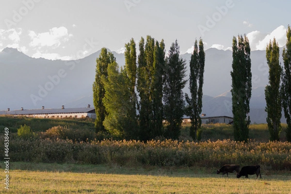 Obraz landscape in the mountains