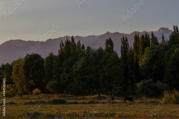 Obraz sunrise in the mountains
