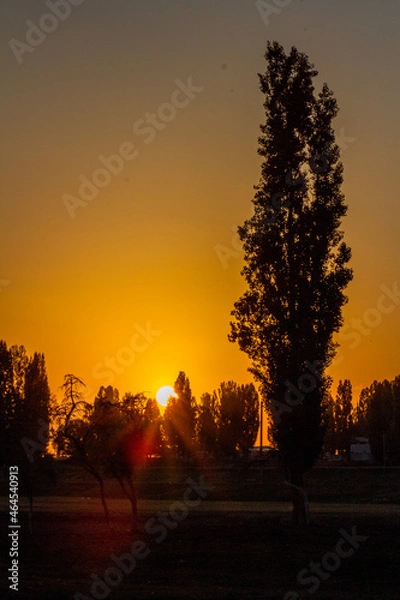 Obraz sunset in the city