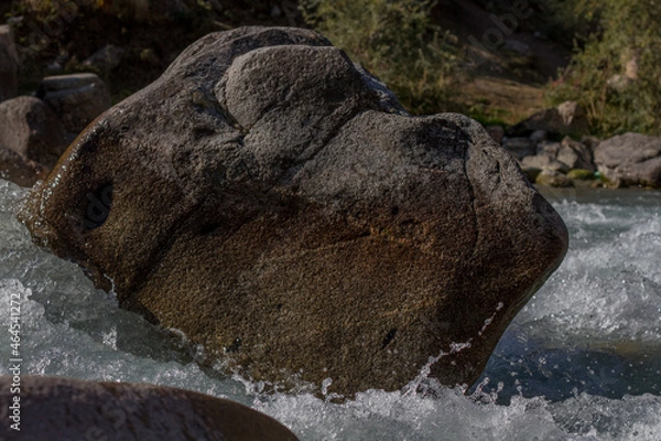 Obraz elephant in the river