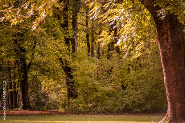 Obraz Herbst in der Stadft 