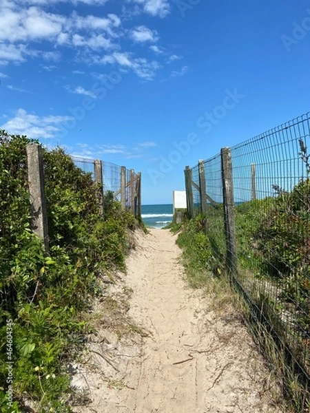 Obraz path to the beach