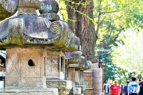 Fototapeta Old stone lanterns line a pathway in a Japanese Shinto temple with tourists and locals passing by