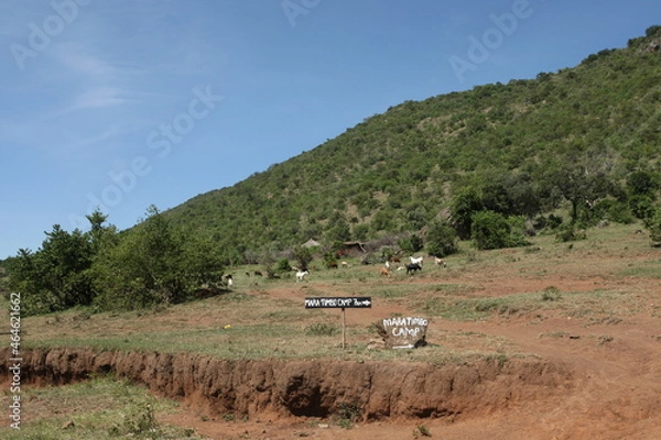 Obraz アフリカのマサイ族