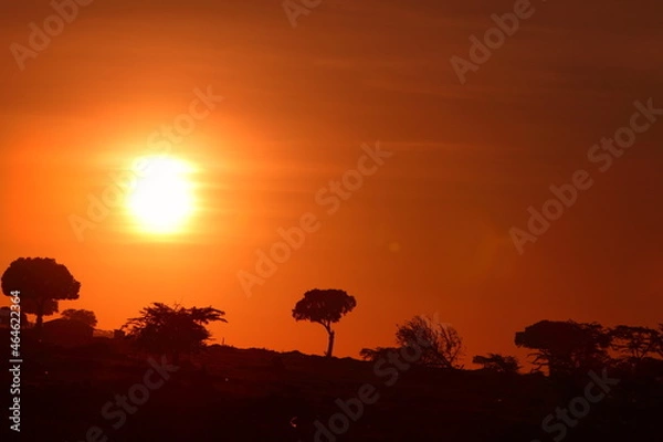 Obraz アフリカマサイの夕日
