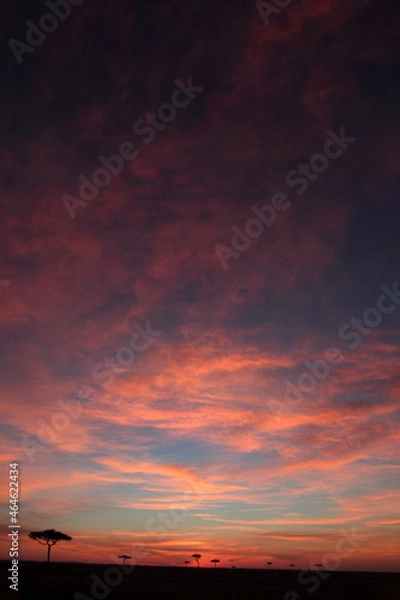 Obraz アフリカマサイの夕日