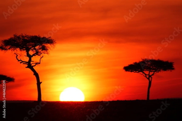 Obraz アフリカマサイの夕日