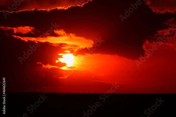 Obraz アフリカマサイの夕日