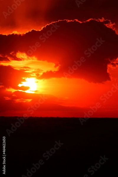 Obraz アフリカマサイの夕日