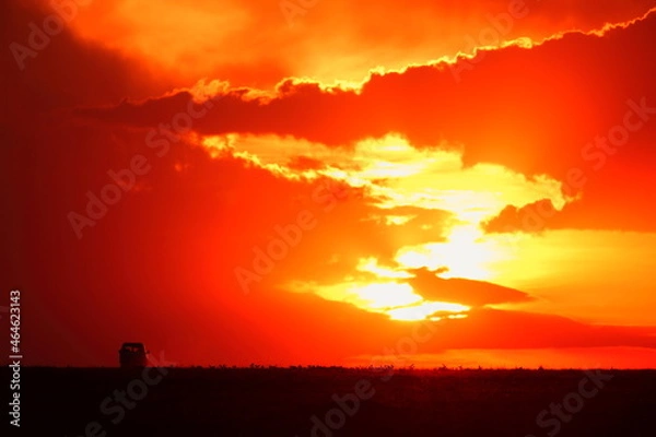 Obraz アフリカマサイの夕日