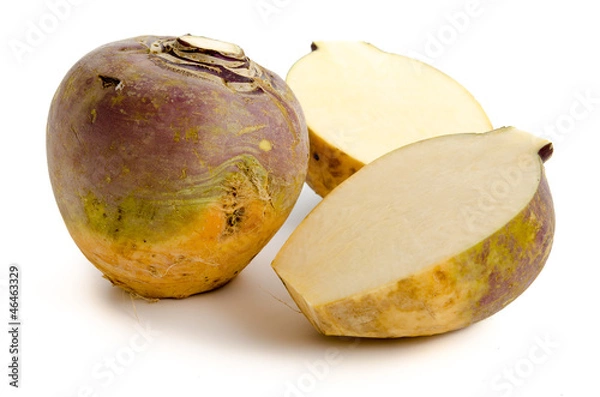 Obraz Rzepa przepołowiona