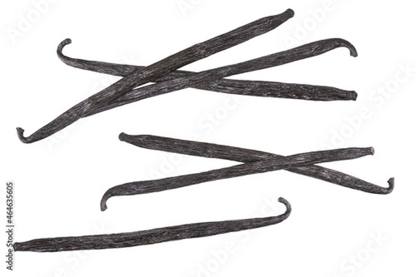 Obraz Vanilla sticks isolated on white background