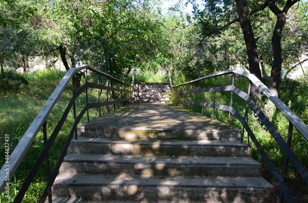 Obraz A stairs in park