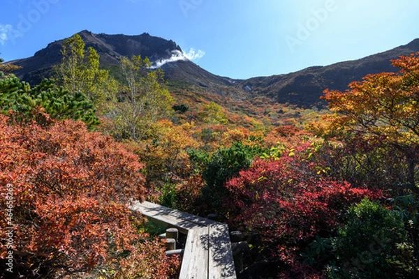 Obraz 姥ヶ平から見た茶臼岳と木道