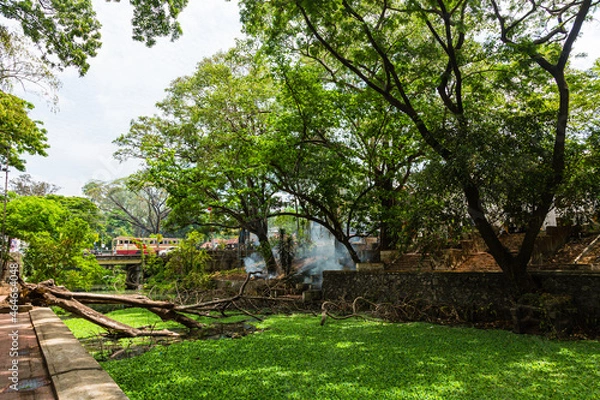 Obraz インド　ケララ州のアラップーザの市街地を流れるヴァーダ運河と街並み