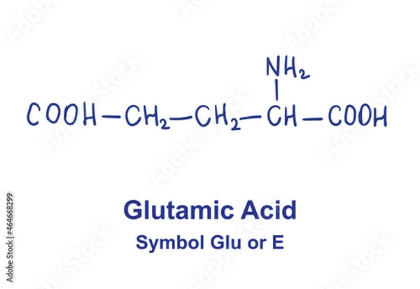 Fototapeta Glutamin asid chemical structure. Vector illustration Hand drawn