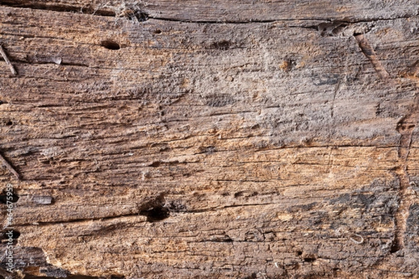Obraz Texture old wood background.