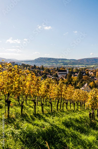 Fototapeta Arlesheim, Dom, Weinberg, Birstal, Birsebene, Dorf, Herbst, Herbstlaub, Ermitage, Baselland, Nordwestschweiz, Schweiz