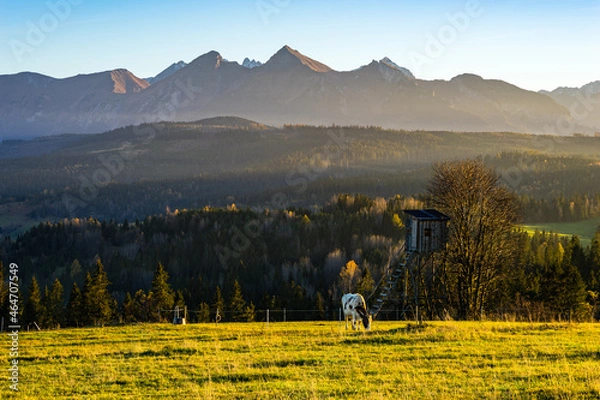 Obraz Mountains just before sunset