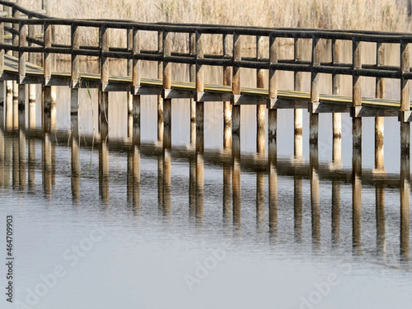 Obraz Puentes de madera