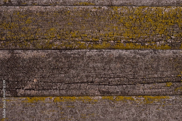 Obraz old wood table textured