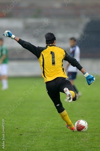 Fototapeta Rinvio del portiere