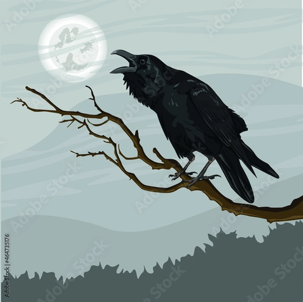 Fototapeta A large black crow, Corvus corax, sits on a tree branch. Spruce forest and cloudy night sky on the horizon. Realistic vector landscape