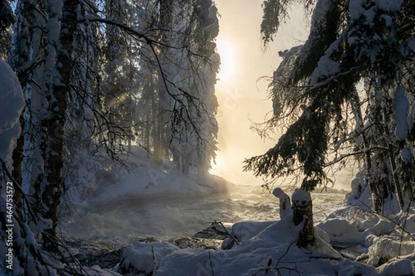 Obraz snow covered trees