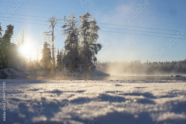 Obraz snow covered trees