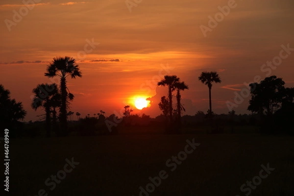 Obraz カンボジア、シュムリアップの夕日