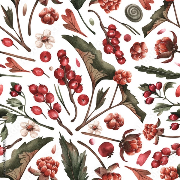 Obraz seamless pattern with red berries