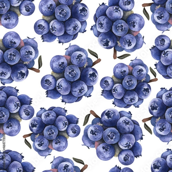 Obraz blueberries on white background pattern