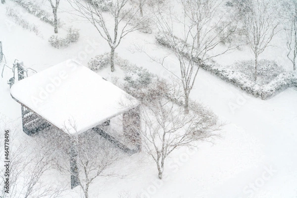 Obraz 눈오는 날 공원