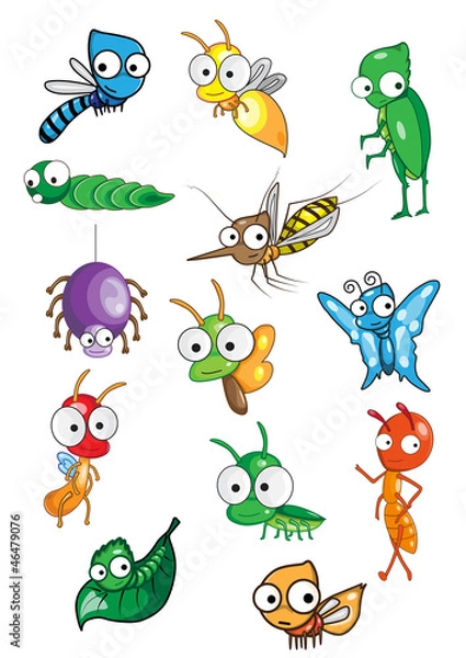 Obraz Collection of insect