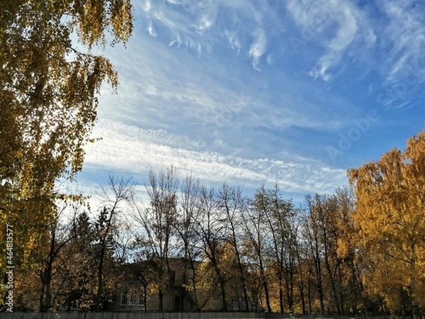 Obraz autumn landscape with trees
