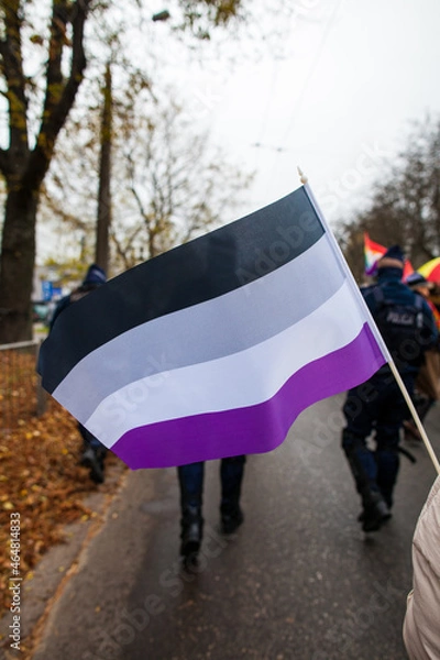 Obraz Asexual flag LGBT+ parade