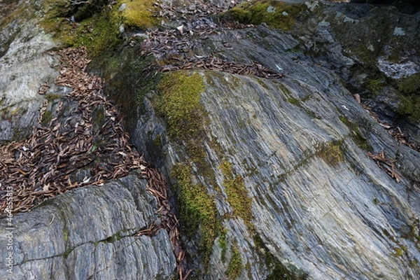 Obraz 山奥に流れる川