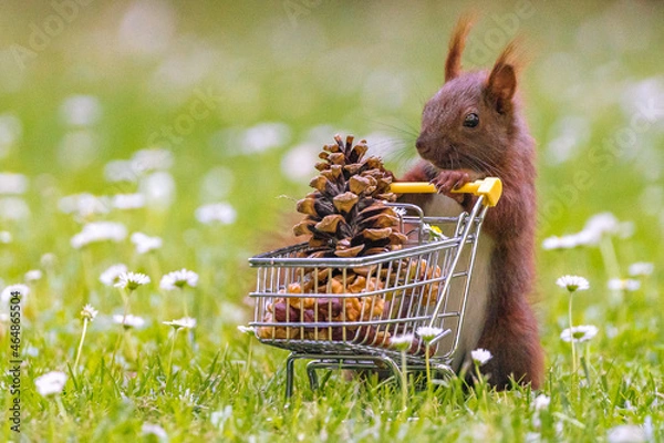 Obraz easter bunny with basket