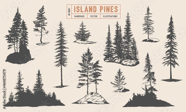 Obraz Pine tree silhouette vector hand drawn illustrations. Coniferous trees on the rocks, isolated on white background. 