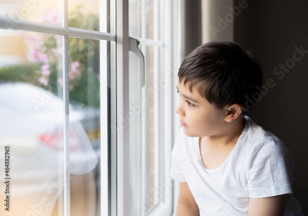 Fototapeta Kid looking at the midge climbing up outside of double glazed window. Young boy sitting next to window looking out at insect with thinking face, Children learning about animals life in nature