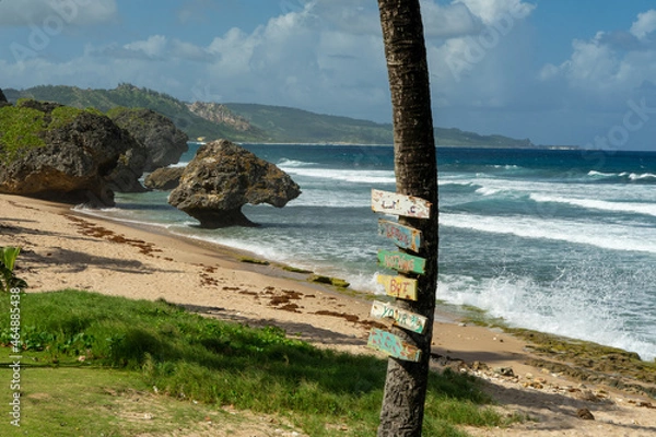 Fototapeta Caribbean beach with beautiful blue water  and some fluffy white clouds
