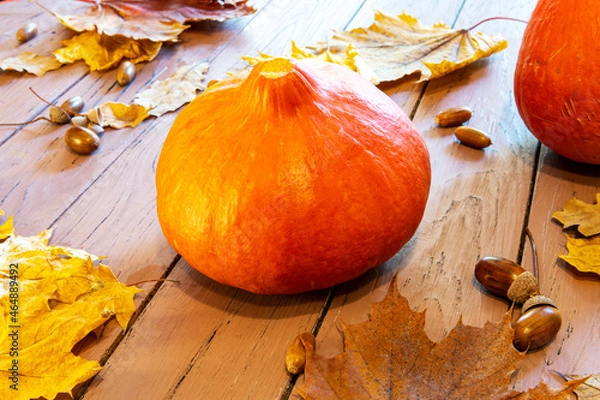 Fototapeta Autumn creative composition of pumpkin, autumn maple leaves, oak, acorns 