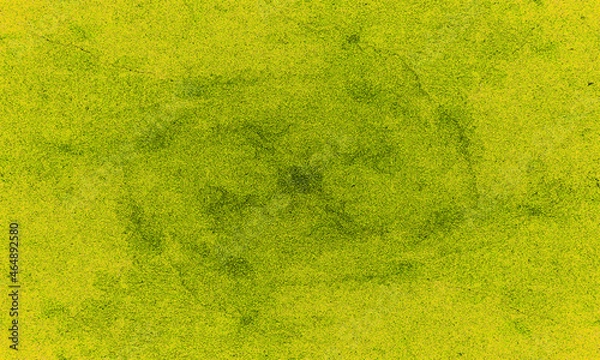 Fototapeta moramora211025