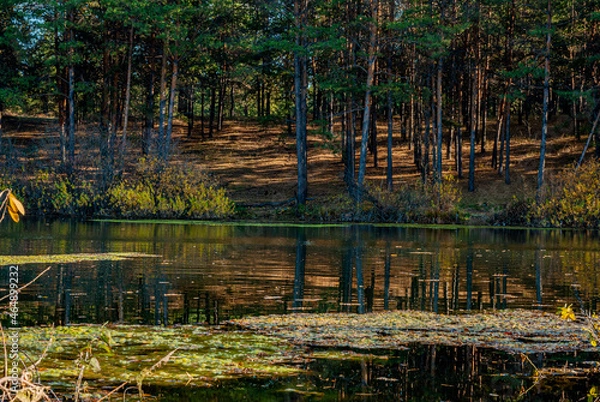 Obraz Forest lake in autumn!