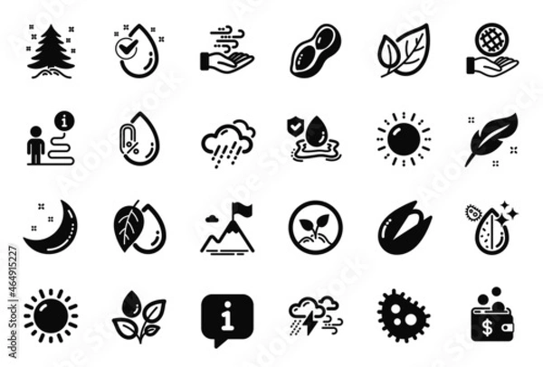 Fototapeta Vector Set of Nature icons related to Rainy weather, Feather and Peanut icons. Water drop, Startup and Mineral oil signs. Plants watering, Wind energy and No alcohol. Leaf, Sunny weather. Vector