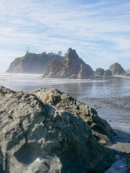 Obraz Pacific Northwest Beach