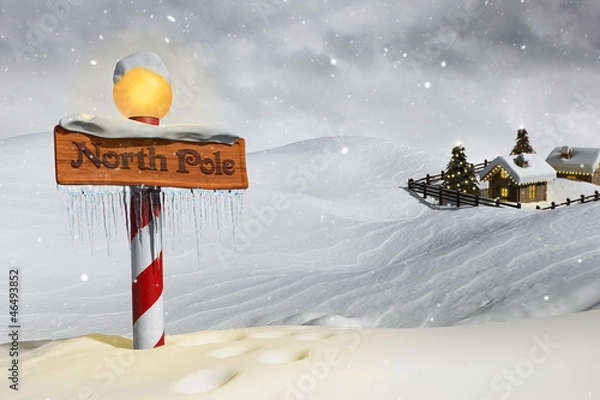 Obraz The North Pole