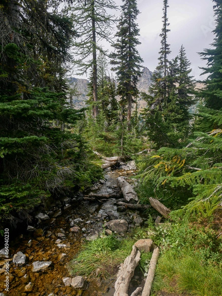 Obraz Glacier Stream in Summer