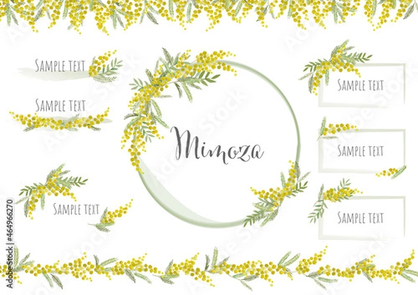 Fototapeta mimoza frame